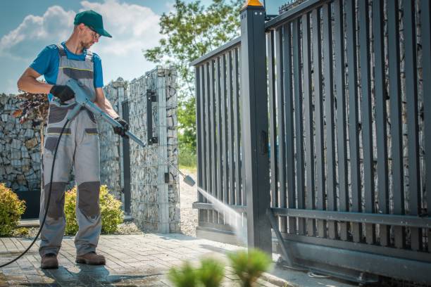 Best Gutter Cleaning  in Georgetown, IL