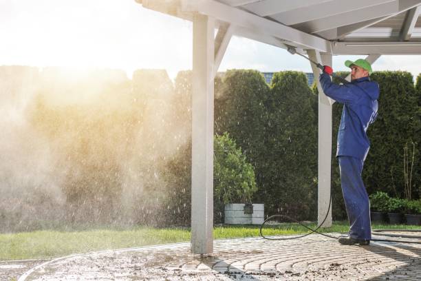 Best Boat and Dock Cleaning  in Georgetown, IL